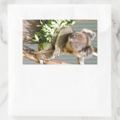 Koala Beer Rechthoekige Sticker (Tas)