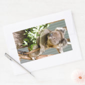 Koala Beer Rechthoekige Sticker (Envelop)