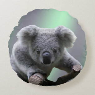 Koala Beer Rond Kussen