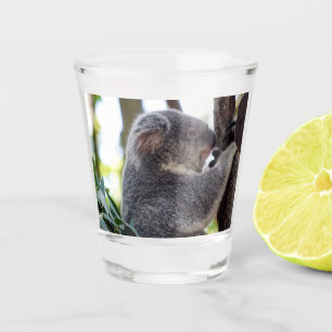 Koala Beer Shot Glass Glas
