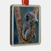 Koala Beer slaapt in een boom Metalen Ornament (Rechts)