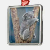 Koala Beer slaapt in een boom Metalen Ornament (Links)