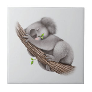 Koala Beer slapen Tegeltje