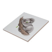 Koala Beer slapen Tegeltje (Zijkant)