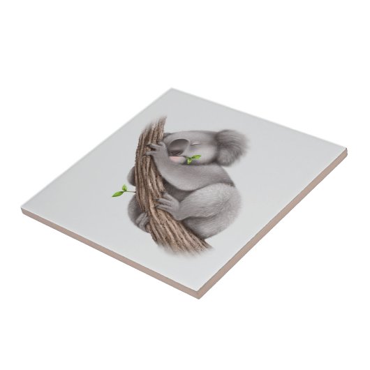 Koala Beer slapen Tegeltje (Zijkant)