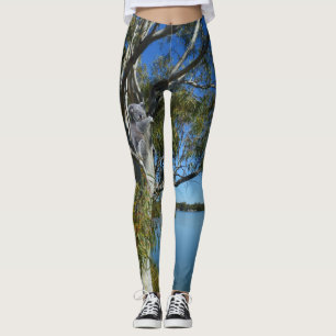 Koala Beer Slapend In Eucalyptusboom, Leggings