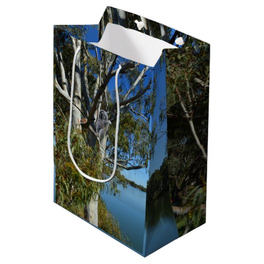 Koala Beer Slapend In Eucalyptusboom, Medium Cadeauzakje (Voorkant Gekanteld)