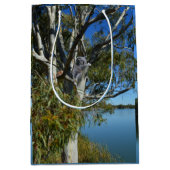 Koala Beer Slapend In Eucalyptusboom, Medium Cadeauzakje (Voorkant)