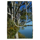 Koala Beer Slapend In Eucalyptusboom, Medium Cadeauzakje (Achterkant)