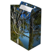 Koala Beer Slapend In Eucalyptusboom, Medium Cadeauzakje (Achterkant Gekanteld)
