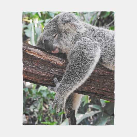 KOALA BEER SLAPING OP BOOM FLEECE DEKEN (Voorkant)