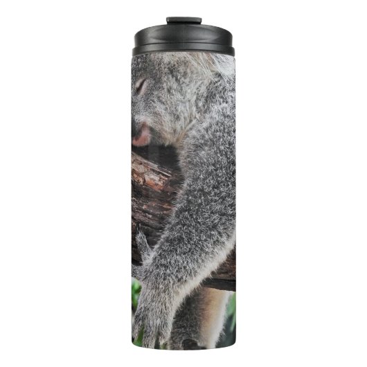 KOALA BEER SLAPING OP BOOM THERMOSBEKER (Voorkant)