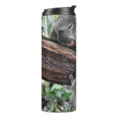 KOALA BEER SLAPING OP BOOM THERMOSBEKER (Gedraaid links)