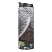 KOALA BEER SLAPING OP BOOM THERMOSBEKER (Geroteerd rechts)