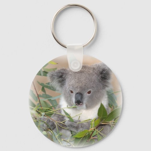 Koala Beer Sleutelhanger (Voorkant)