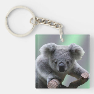 Koala Beer Sleutelhanger
