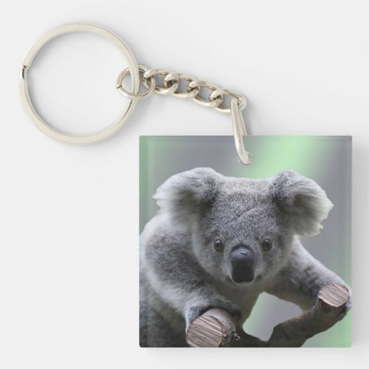 Koala Beer Sleutelhanger (Voorkant)
