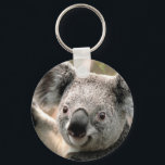 Koala Beer Sleutelhangers<br><div class="desc">Koala-mokken,  telefoonomhulsels,  afbeeldingen</div>