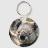Koala Beer Sleutelhangers (Voorkant)