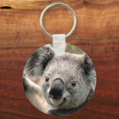 Koala Beer Sleutelhangers (Voorkant)