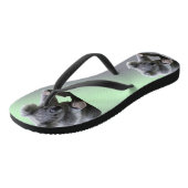 Koala Beer Teenslippers (Schuin)