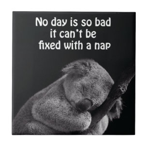 koala beer tegel tegeltje