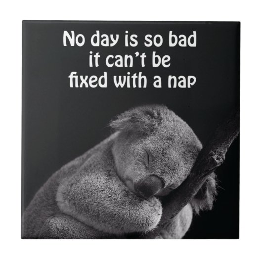koala beer tegel tegeltje (Voorkant)