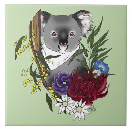 Koala Beer Tegeltje (Voorkant)