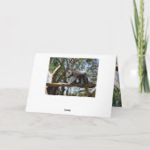 Koala Beer Tight Rope Walker Kaart (Achterkant)