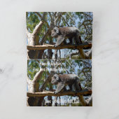 Koala Beer Tight Rope Walker Kaart (Binnen)