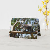 Koala Beer Tight Rope Walker Kaart (Gele Bloem)