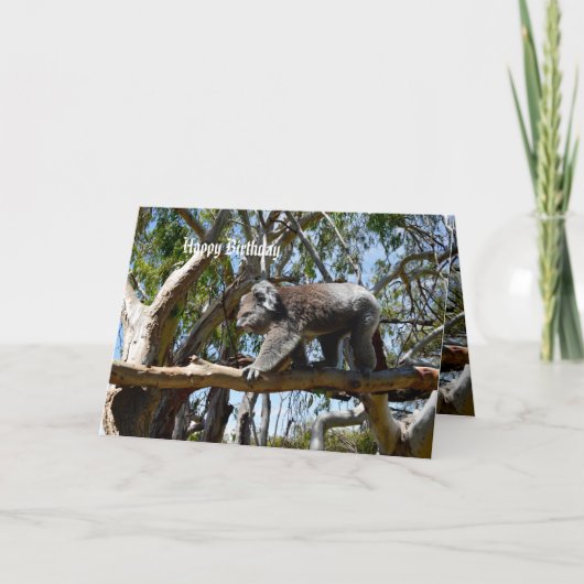 Koala Beer Tight Rope Walker Kaart (Voorkant)