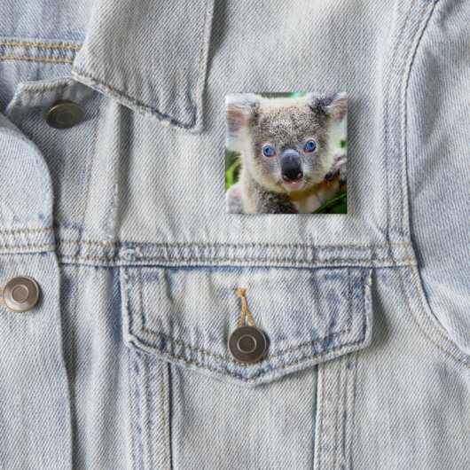 Koala Beer Vierkante Button 5,1 Cm (In situ)