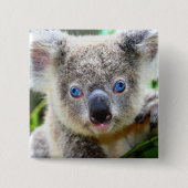 Koala Beer Vierkante Button 5,1 Cm (Voorkant)