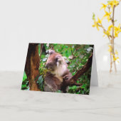 Koala Beer Wenskaart Kaart (Gele Bloem)