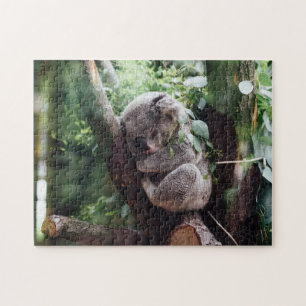 Koala Beer Wilde Dier Slapen op een Bamboeboom Legpuzzel