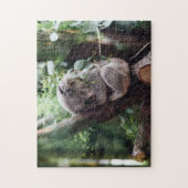Koala Beer Wilde Dier Slapen op een Bamboeboom Legpuzzel (Verticaal)