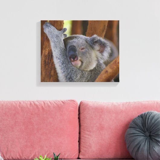 Koala Beer Wrapped Canvas (Insitu (Woonkamer))