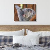 Koala Beer Wrapped Canvas (Insitu (Slaapkamer))