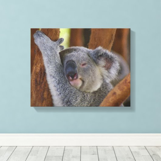 Koala Beer Wrapped Canvas (Insitu (Houten vloer))