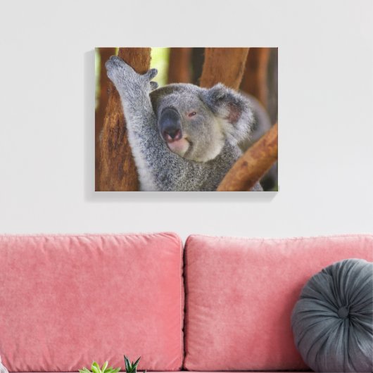 Koala Beer Wrapped Canvas (Insitu (Woonkamer))