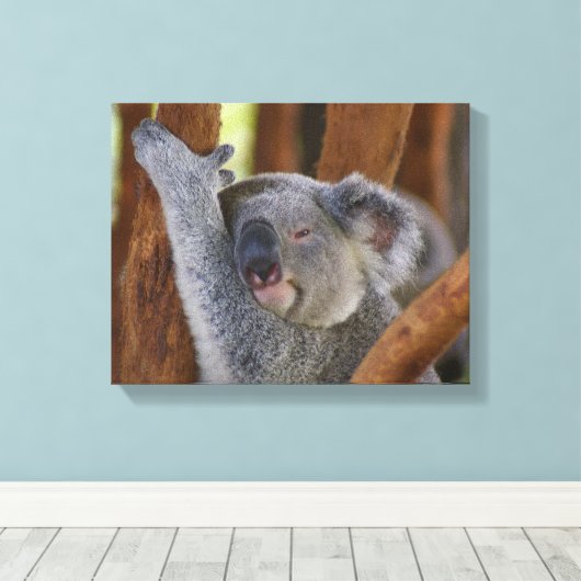 Koala Beer Wrapped Canvas (Insitu (Houten vloer))