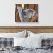 Koala Beer Wrapped Canvas (Insitu (Slaapkamer))
