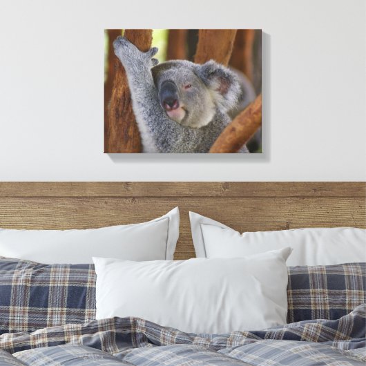Koala Beer Wrapped Canvas (Insitu (Slaapkamer))