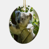 Koala Beren Aussi Outback Destiny Natuur Keramisch Ornament (Rechts)