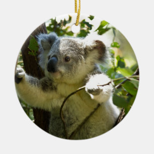 Koala Beren Aussi Outback Destiny Natuur Keramisch Ornament