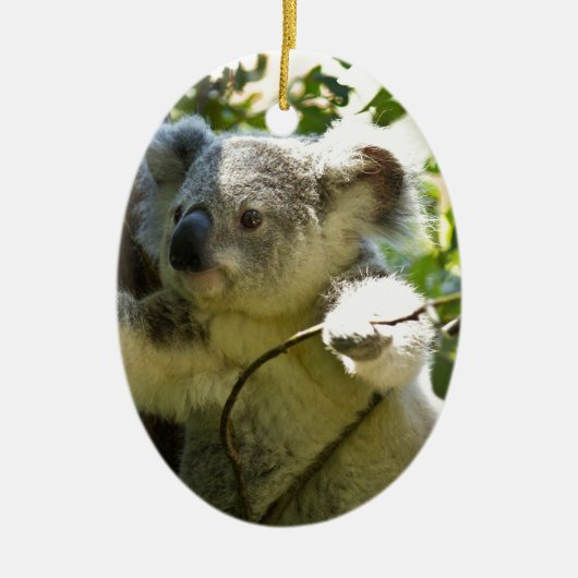 Koala Beren Aussi Outback Destiny Natuur Keramisch Ornament (Voorkant)
