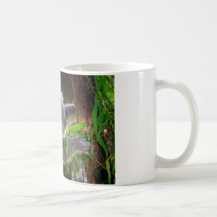 Koala Beren Aussi Outback Destiny Natuur Koffiemok