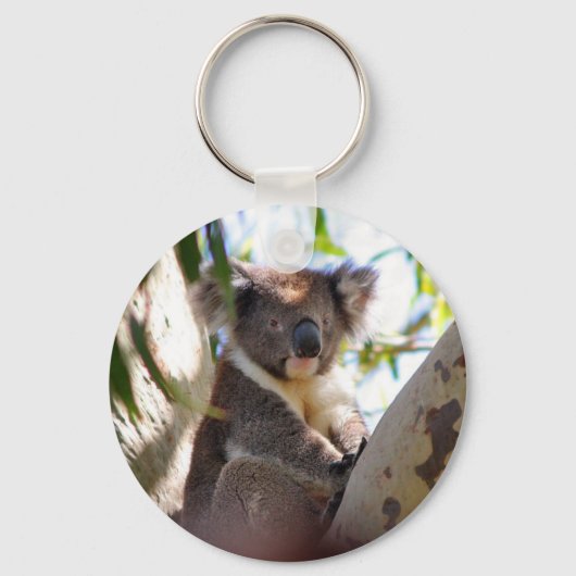 Koala Beren Aussi Outback Destiny Natuur Sleutelhanger (Voorkant)