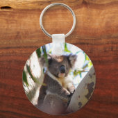 Koala Beren Aussi Outback Destiny Natuur Sleutelhanger (Voorkant)